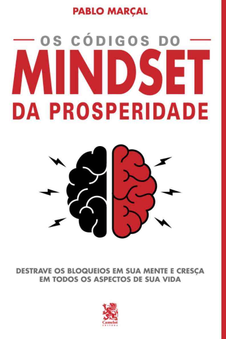 Os codigos do mindset